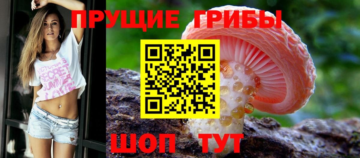 Галлюциногенные грибы Psilocybe Лангепас